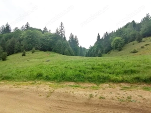 Teren 2.763 mp Poiana Brașov – lângă Stâna Turistică Sergiana - imagine 4