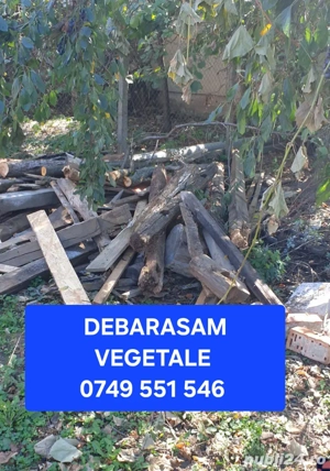 Debarasări apartamente Timișoara   