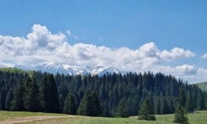 Teren 2.763 mp Poiana Brașov – lângă Stâna Turistică Sergiana