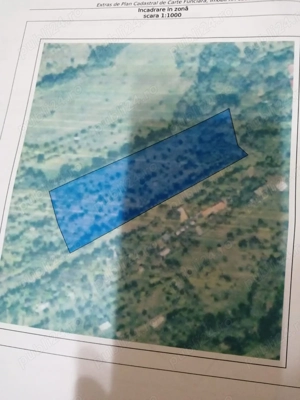 Vand faneata, Cugir, Alba.