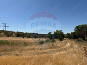 De vanzare Teren Extravilan- Cernavoda - imagine 6 De vanzare Teren Extravilan- Cernavoda - imagine 6