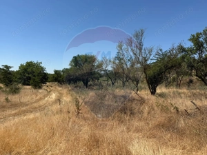 De vanzare Teren Extravilan- Cernavoda