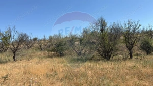 De vanzare Teren Extravilan- Cernavoda - imagine 5 De vanzare Teren Extravilan- Cernavoda - imagine 5