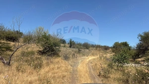 De vanzare Teren Extravilan- Cernavoda - imagine 4 De vanzare Teren Extravilan- Cernavoda - imagine 4