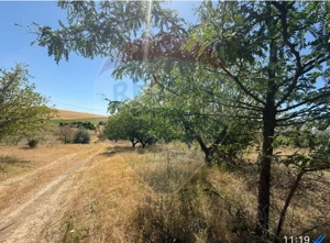 De vanzare Teren Extravilan- Cernavoda - imagine 2 De vanzare Teren Extravilan- Cernavoda - imagine 2