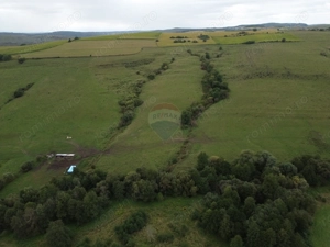 Teren de vanzare, 65 hectare - Agnita - imagine 6