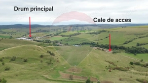 Teren de vanzare, 65 hectare - Agnita