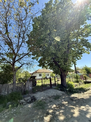 Casă de vânzare cu teren  - imagine 20