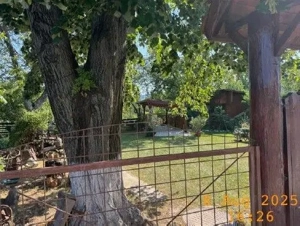 Casa si teren cota parte 1/3, Ivanesti, ID: R2759090 - imagine 3 Casa si teren cota parte 1/3, Ivanesti, ID: R2759090 - imagine 3