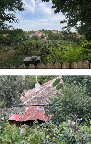 Casa si teren cota parte 1/3, Ivanesti, ID: R2759090 - imagine 4 Casa si teren cota parte 1/3, Ivanesti, ID: R2759090 - imagine 4