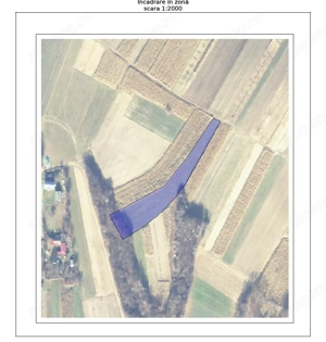 Teren 5200 mp arabil, Dealul Cajvanei, com. Botosana, Jud. Suceava