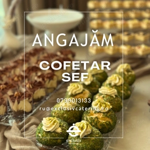 Exclusiv Catering angajeaza COFETAR SEF