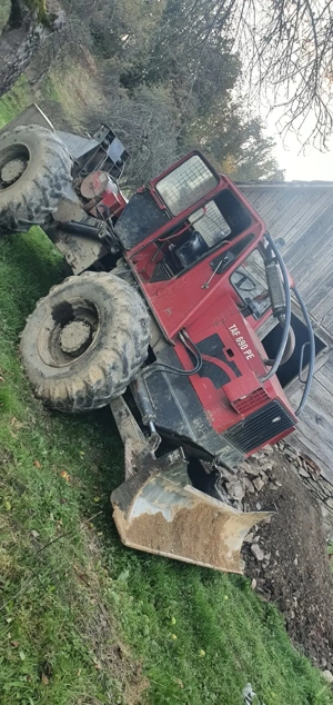 Vand taf forestier - imagine 2