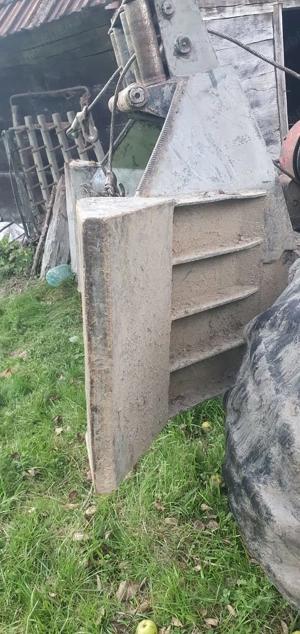 Vand taf forestier - imagine 4