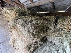 Vand baloti de lucerna si trifoi