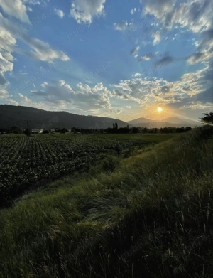 1700 Mp teren cu 4 euro