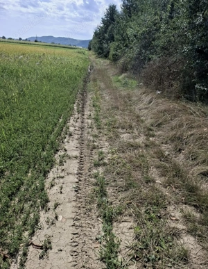 1700 Mp teren cu 4 euro - imagine 3