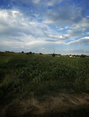 1700 Mp teren cu 4 euro - imagine 5