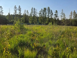 De vanzare teren extravilan (intravilan in devenire)