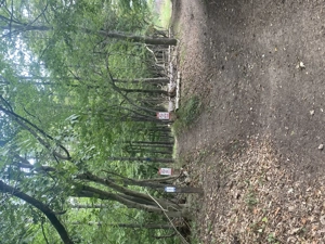 Vând teren intravilan Deva - imagine 2