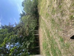 Vând teren intravilan Deva - imagine 4