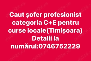 Caut sofer profesionist categoria C+E