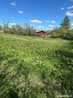 Teren Intravilan stradal Talpa-Ogrăzile Teleorman - imagine 3