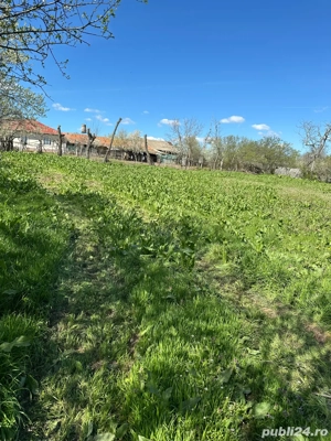 Teren Intravilan stradal Talpa-Ogrăzile Teleorman - imagine 5