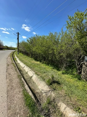 Teren Intravilan stradal Talpa-Ogrăzile Teleorman - imagine 4