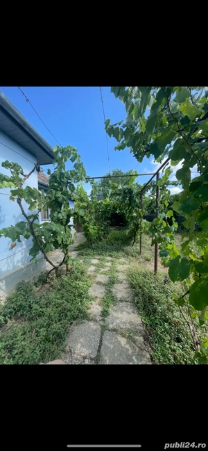 Casă de Vânzare Peciu Nou