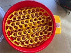 Incubator ouă Puișor X2 - imagine 2