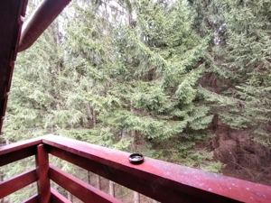 Apartament 3 camere Sinaia, zona centrala - imagine 10