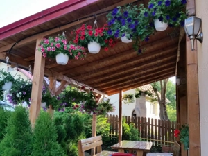 Busteni revelion 2026 cazare - imagine 3