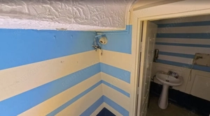 Centru Istoric parter 182 mp terasa trafic intens - imagine 3