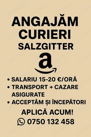 Angajăm Curieri   Salzgitter, Germania