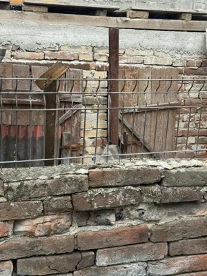 Gratuit caramida si lemne de foc