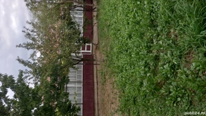 casa de vanzare - imagine 10