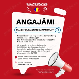 Angajam transator, fasonator si manipulant