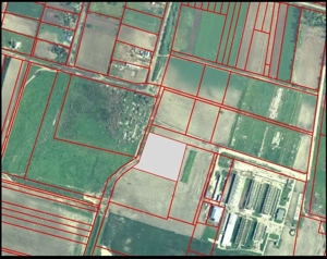 Teren intravilan Silistraru, jud. Braila-6350mp