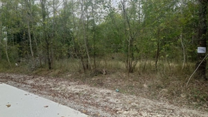 Teren 1215mp sau 2429mp in Poiana Varbilau, Prahova