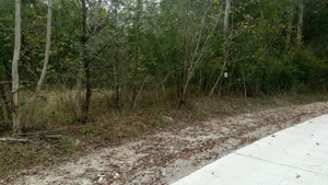 Teren 1215mp sau 2429mp in Poiana Varbilau, Prahova - imagine 3