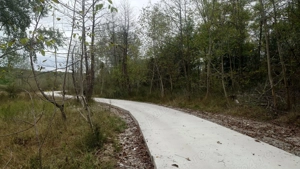 Teren 1215mp sau 2429mp in Poiana Varbilau, Prahova - imagine 2