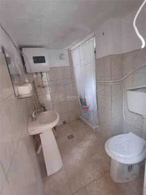 Casuta traditionala de vanzare in Saliste - imagine 6