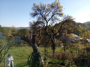 Vând teren superb 1028m2, în com. Valea Lunga jud Dâmbovița  - imagine 7