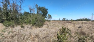 Vând teren 8 euro mp intravilan cadastral loc de casa 2441 mp .Comuna Jugureni , judetul Dâmbovița  - imagine 6