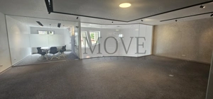 Carte de vizită pentru afacerea ta- AVIATORILOR - imagine 13