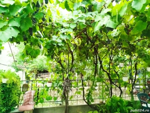 casa de vânzare - imagine 6