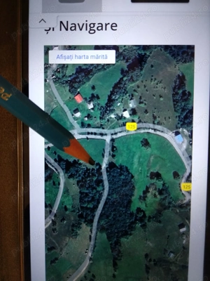 Vand teren pentru cabana in comuna Horea , pe drumul spre Casa lui Horea  din Fericet  !