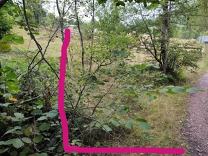 Vand teren pentru cabana in comuna Horea , pe drumul spre Casa lui Horea  din Fericet  !  - imagine 4