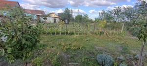 Casa Sânandrei de vânzare  - imagine 17